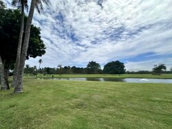 Cove Drive (D4), Detached #486119371